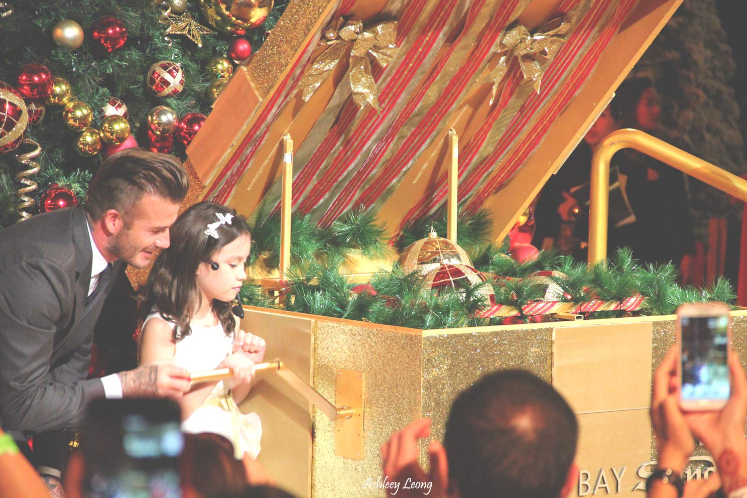 Marina Bay Sands Lights Up for Early Christmas With David Beckham - Alvinology