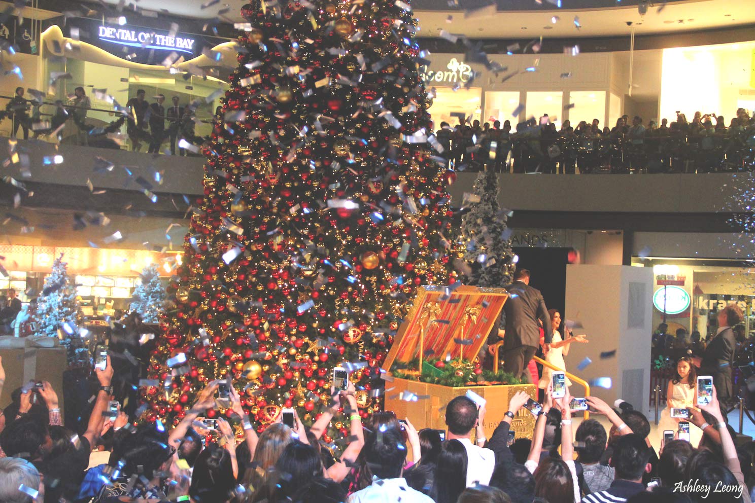 Marina Bay Sands Lights Up for Early Christmas With David Beckham - Alvinology