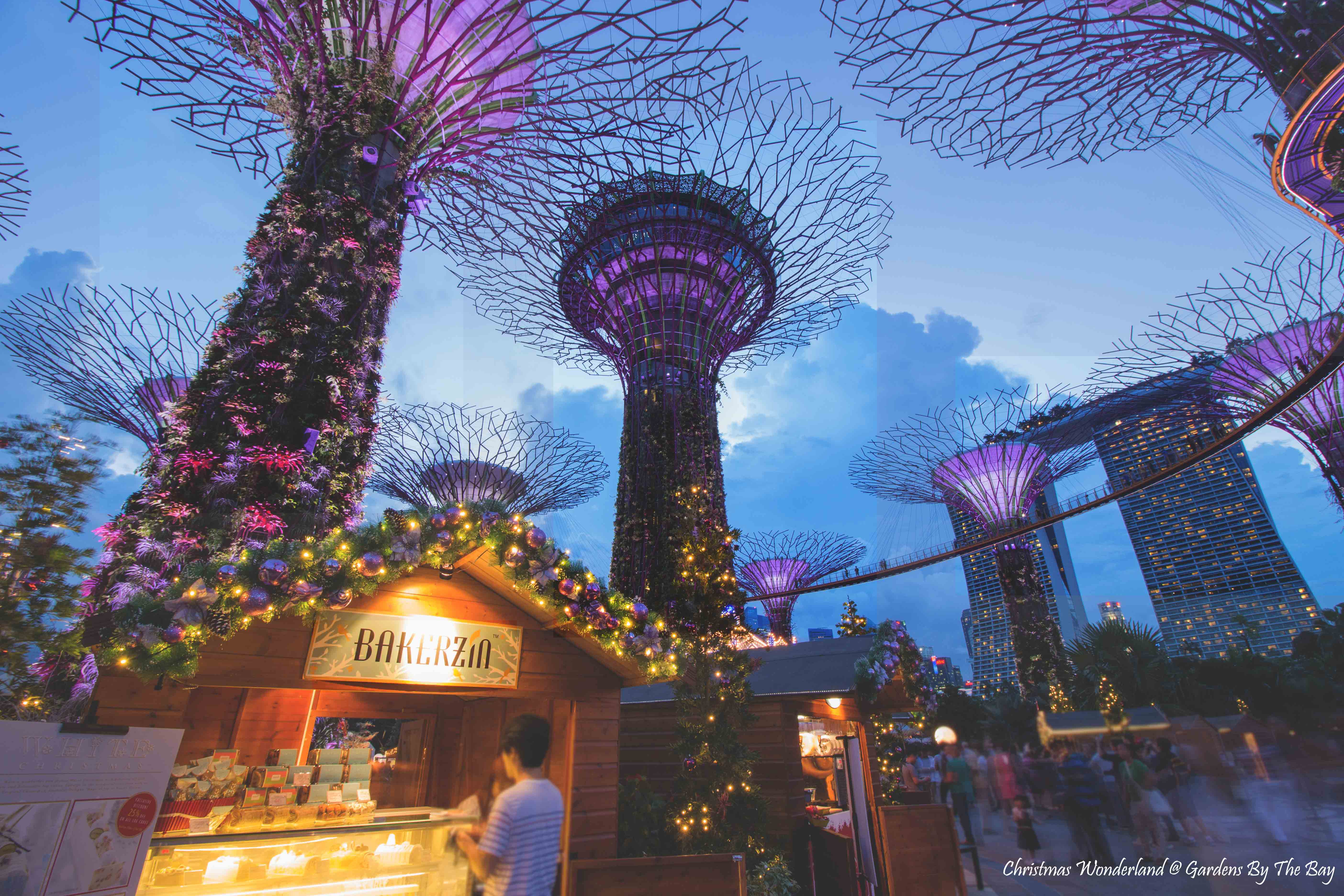 Christmas Countdown Checklists at Gardens By The Bay - Alvinology