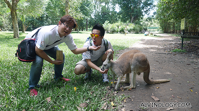 Me feeding Bomb from Thailand while he fed a kangeroo