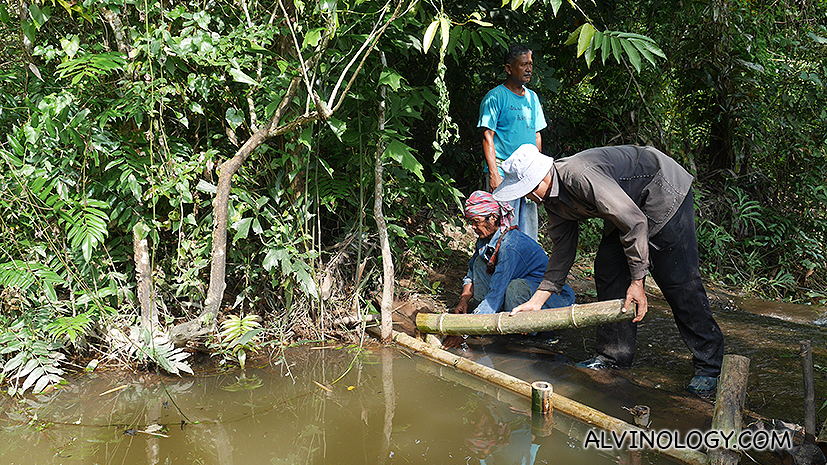 Making a dam with bamboos from the land