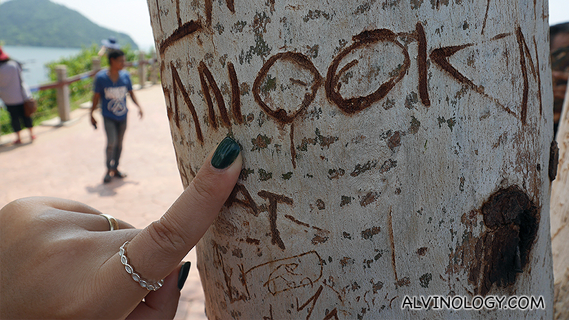  Badly vandalized tree trunk - don't do this please 