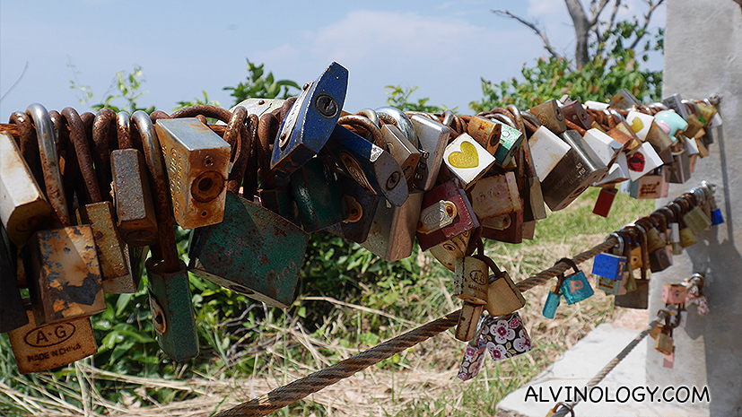 Locks of love 