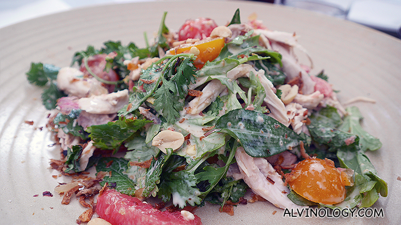 Thai Chicken Salad - pickled leaves, chili, ruby grapefruit, peanuts, mustard fruits, tomatoes, sesame and ginger dressing 