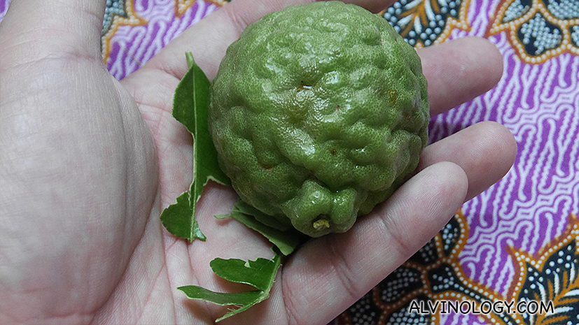 Kaffir lime - an important ingredient in thai cooking