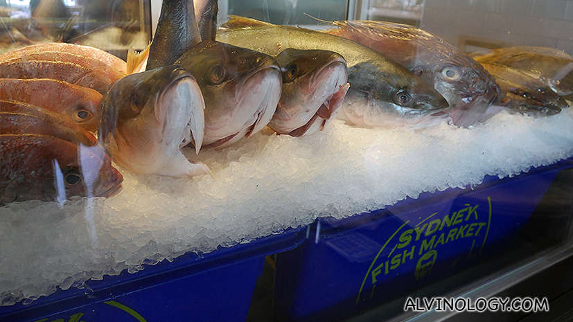 Fresh fish from Sydney Fish Market 