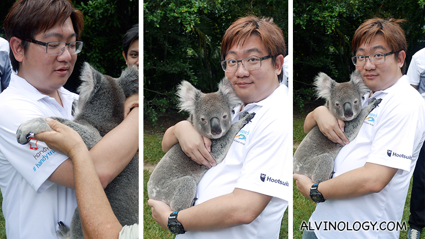 The highlight - koala bear! 