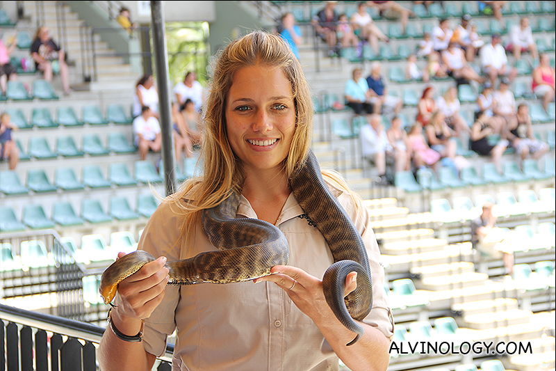 A keeper bringing a petting snake around for the audience 