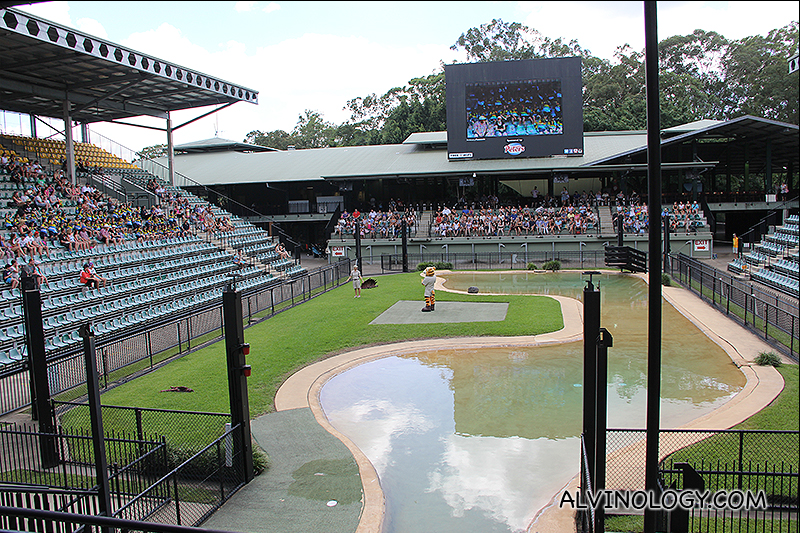 The Crocoseum